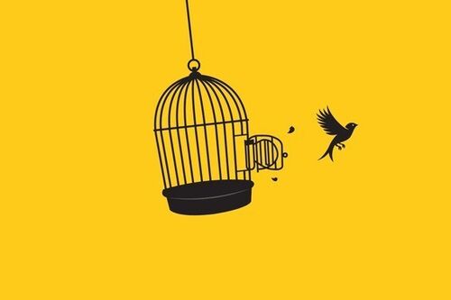 Van gevangen naar bevrijd: videogesprek met een klant