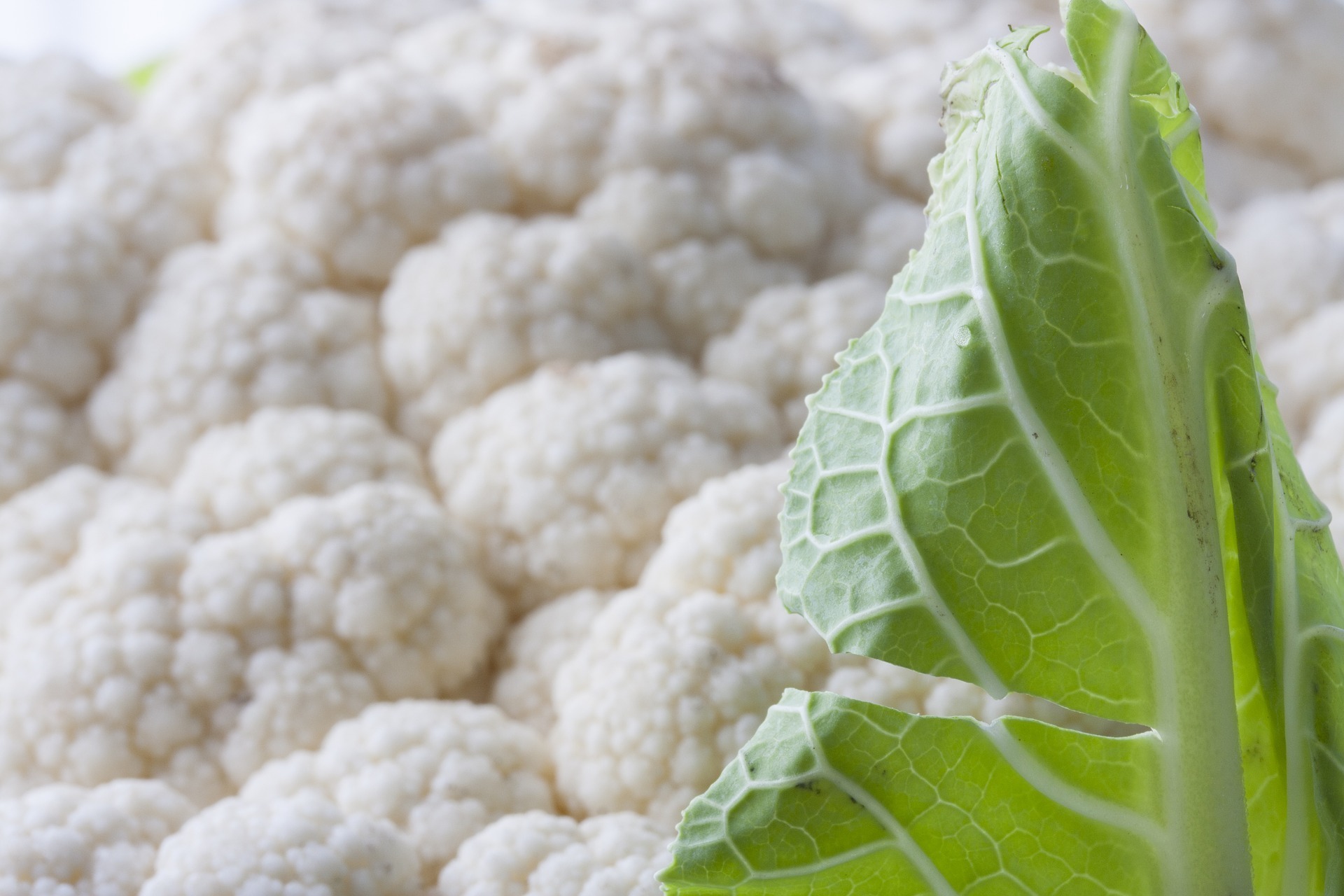 bloemkolen